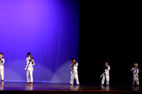 Taekwondo (17)