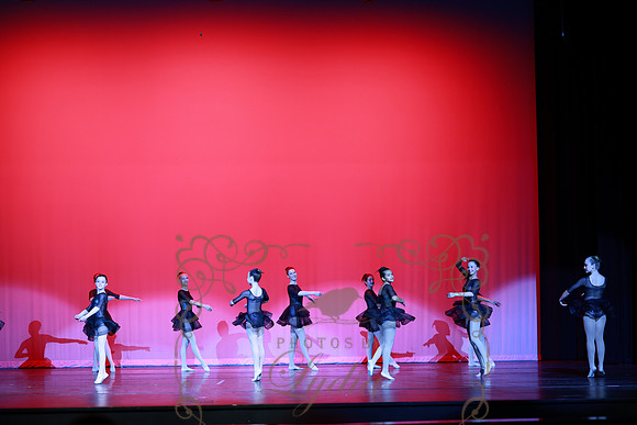 Romeo & Juliet (17)