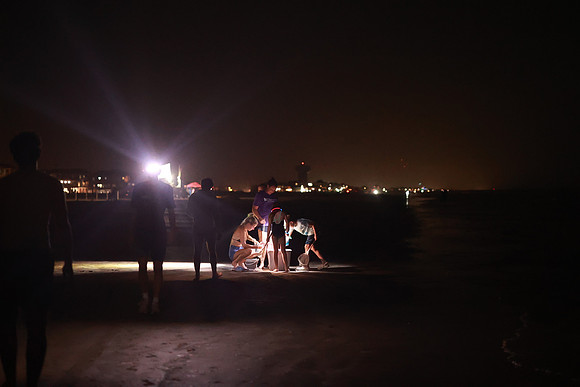 Beach-4233
