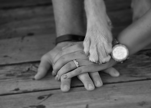 5V3B5791bw