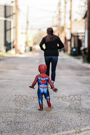 Spiderman-33