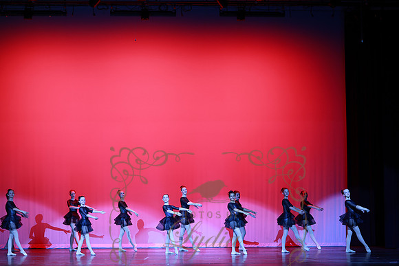 Romeo & Juliet (14)