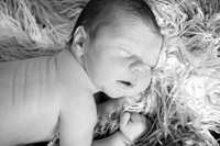 IMG_0162bw