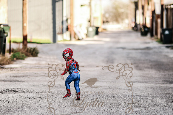 Spiderman-34b
