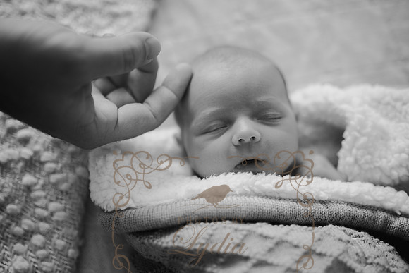 Phoebe (2)