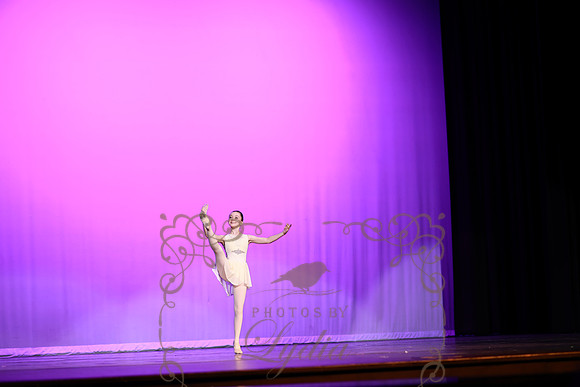 Don Quixote (9)