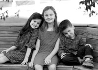 5V3B7219bw