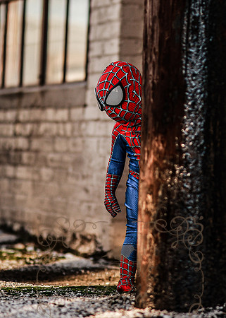 Spiderman-43b