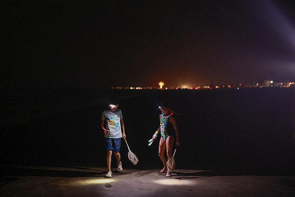 Beach-4222
