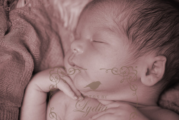 IMG_9785bw