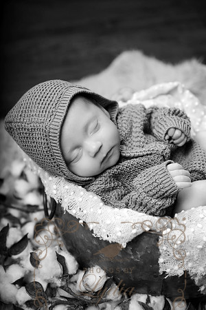 Cohen-9634bw