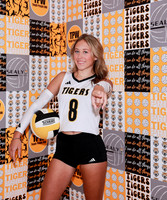 Vball-0688