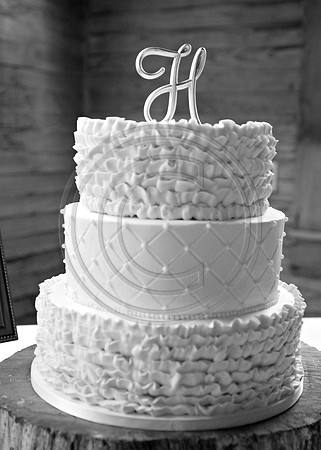 IMG_7373bw