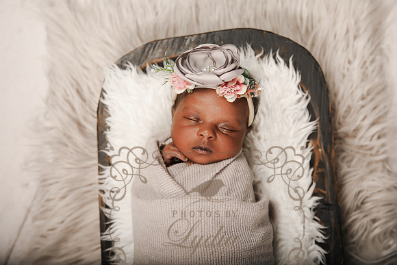 Reese-0436