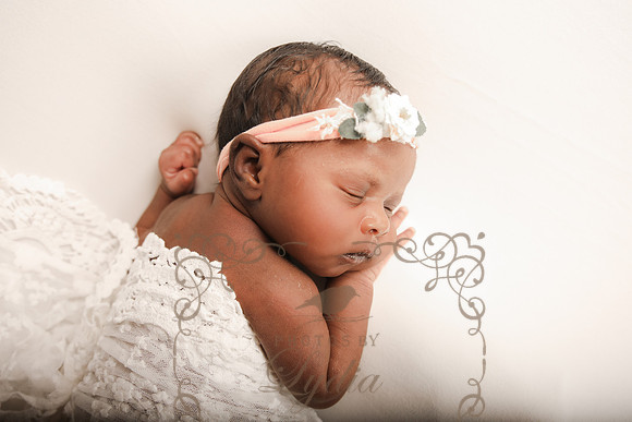 Reese-0487