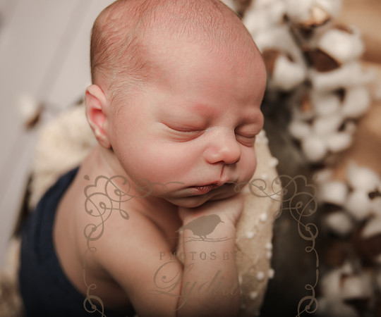Kaden (116)