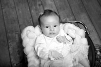 IMG_8351bw