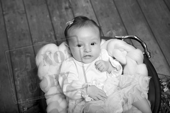 IMG_8351bw