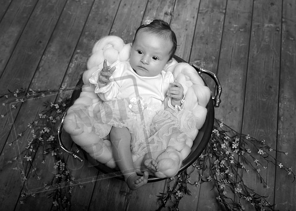 IMG_8364bw