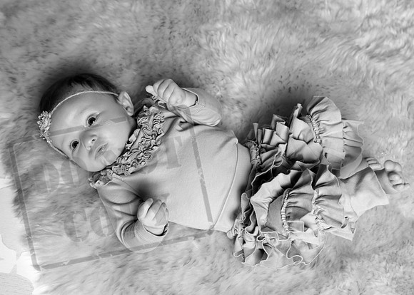 IMG_8425bw