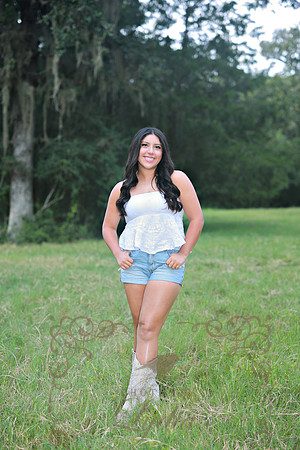 FAVS (1)