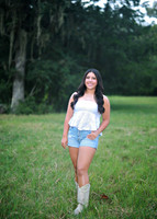 FAVS (4)