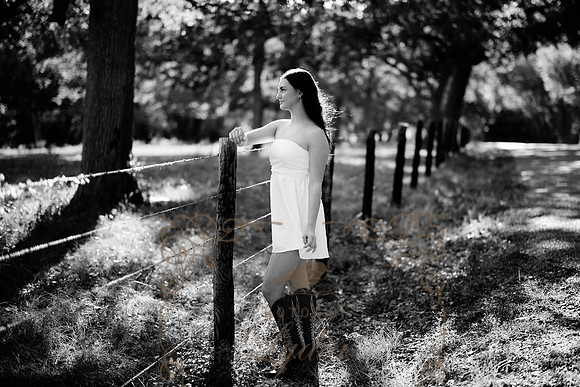 Alaina-7702-2
