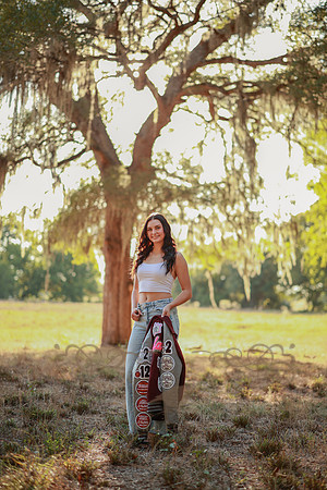 Alaina-8051