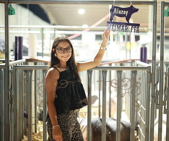 Alazay-4160