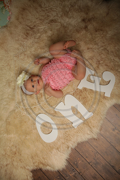 IMG_8746