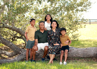 Family (3)