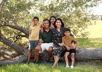 Family (2)