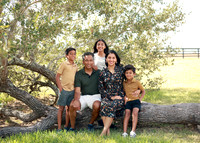 Family (4)