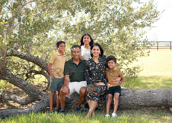 Family (4)