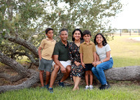 Family (8)