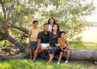 Family (7)