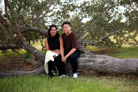 Family (14)