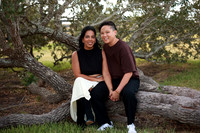Family (16)