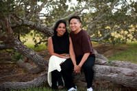 Family (17)
