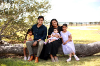 Family (20)