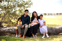 Family (19)