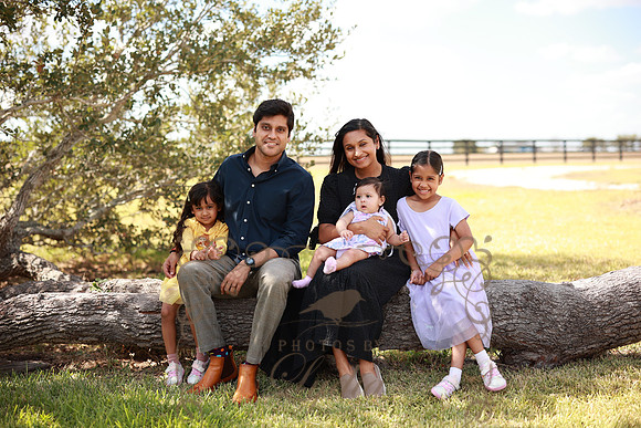 Family (19)
