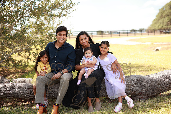 Family (21)