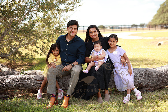 Family (22)