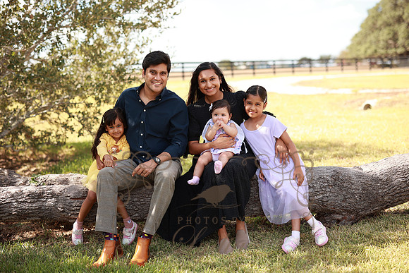 Family (24)