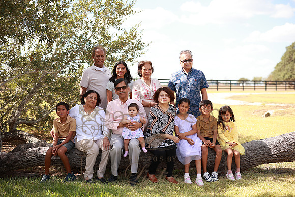 Family (27)