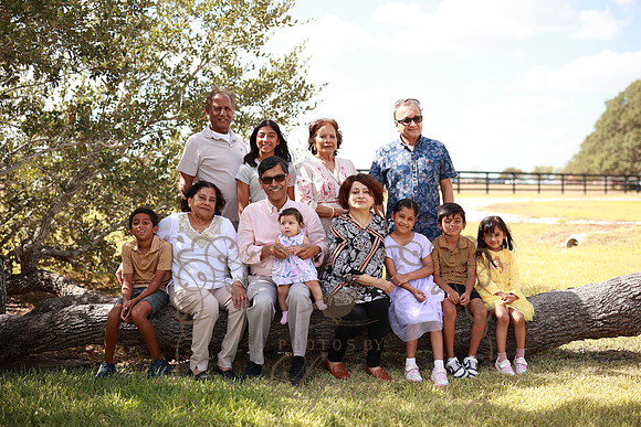 Family (28)