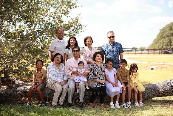 Family (29)