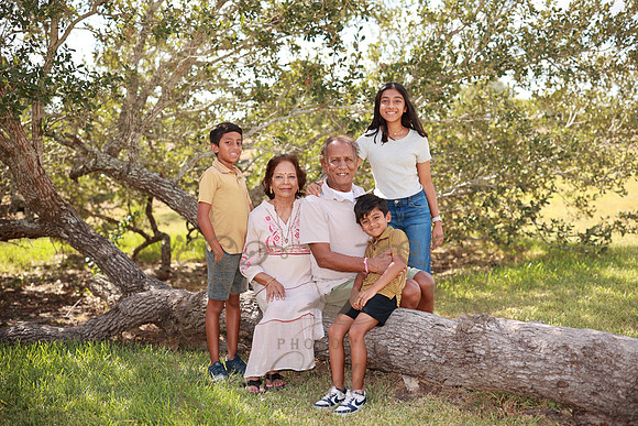 Family (32)