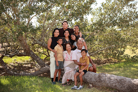 Family (33)